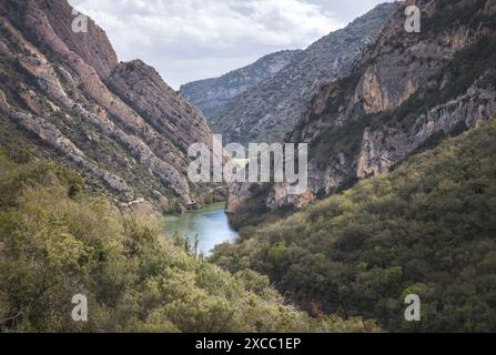 Vista aerea della gola di Congost de Mu in Catalogna Foto Stock