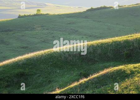 Tramonto sulle verdi pianure della Tranylvania, immagine scattata poco prima del tramonto Foto Stock