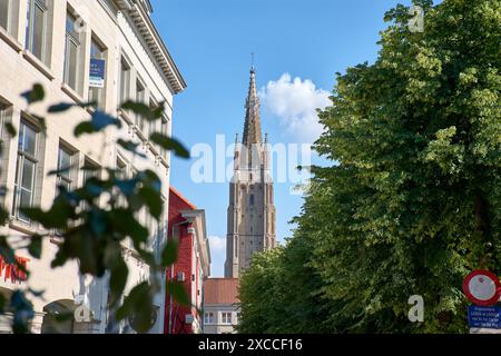 Bruges, Belgio; giugno 06.2024; la torre della chiesa di nostra Signora in stile gotico con vecchie case con frontoni a punta al sole come parte dell'UNESCO W Foto Stock