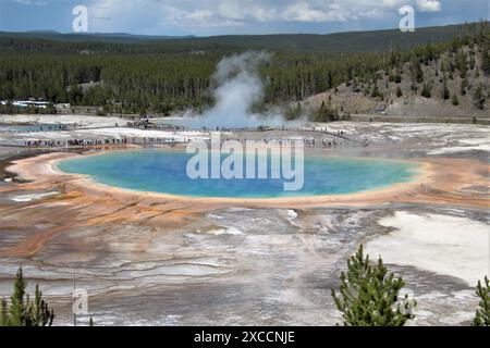 Vista sopraelevata di Grand Prismatic Spring nel parco nazionale di Yellowstone Foto Stock