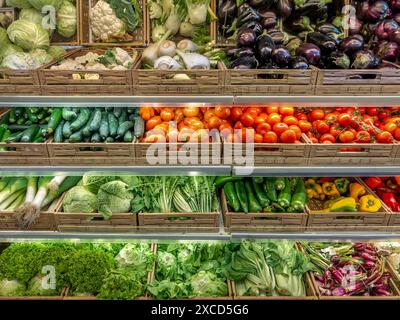 Verdure di vario tipo esposte in scatole sugli scaffali del negozio del fruttivendolo, pomodori e cavolo, peperoni colorati e cavolo con uova Foto Stock
