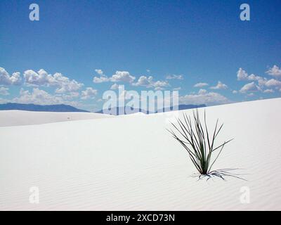 REGISTRARE LA DATA del riscaldamento NON INDICATO nel riscaldamento globale o nei cambiamenti climatici, nel riscaldamento globale o nei cambiamenti climatici, nel riscaldamento globale o nei cambiamenti climatici Foto Stock