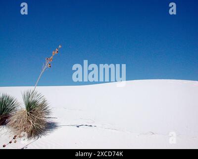 REGISTRARE LA DATA del riscaldamento NON INDICATO nel riscaldamento globale o nei cambiamenti climatici, nel riscaldamento globale o nei cambiamenti climatici, nel riscaldamento globale o nei cambiamenti climatici Foto Stock