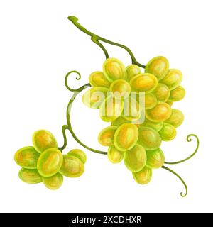 Un mucchio di uve mature con tendine riccio. Illustrazione ad acquerello per la progettazione di etichette, liste di vini, menu, logo o stampa promozionale per le aziende vinicole Foto Stock