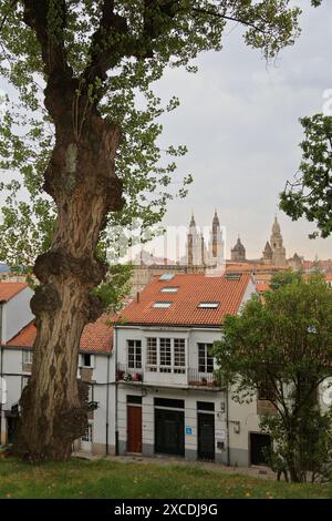 Cattedrale dal parco Alameda, Santiago de Compostela, A Coruña provincia, Galizia, Spagna. Foto Stock