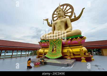 Donna che prega in ginocchio di fronte alla statua del grande Buddha, al Tempio del grande Buddha, al Wat Phra Yai, a Ko Phan, Koh Samui, Thailandia Foto Stock