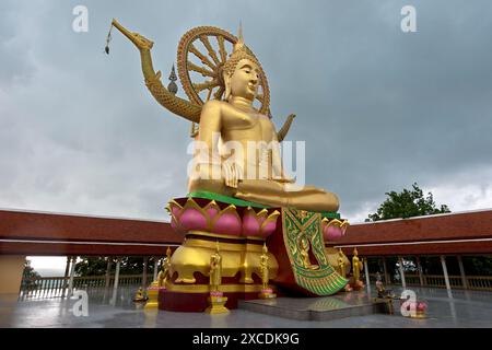 Statua del Buddha, Wat Phra Yai, il Tempio del grande Buddha, a Ko Phan, Koh Samui, Thailandia Foto Stock