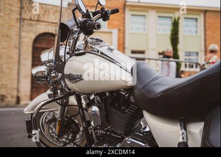 Italia, 09 giugno 2024: Moto del leggendario marchio Harley Davidson in mostra al RALLY EUROPEO H.O.G. di Senigallia Ancona Marche Foto Stock