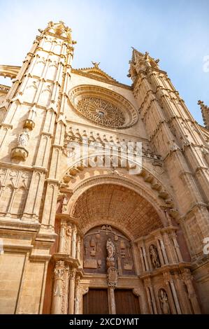 Cattedrale di la Seu Santa Maria di Palma, vista frontale da basso angolo di Maiorca, Maiorca Foto Stock