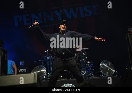 Il gruppo punk americano Pennywise si esibisce al Rock IM Park Festival di Norimberga. Foto Stock