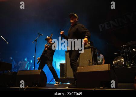 Il gruppo punk americano Pennywise si esibisce al Rock IM Park Festival di Norimberga. Foto Stock