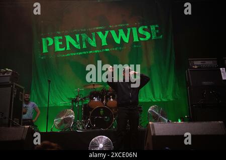 Il gruppo punk americano Pennywise si esibisce al Rock IM Park Festival di Norimberga. Foto Stock