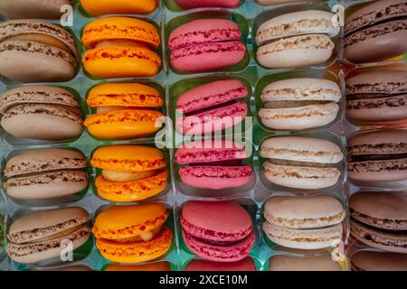 Macaron francesi in file in imballaggi da un negozio Foto Stock