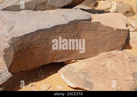 Petroglifi a Taghit, nell'Algeria occidentale Foto Stock