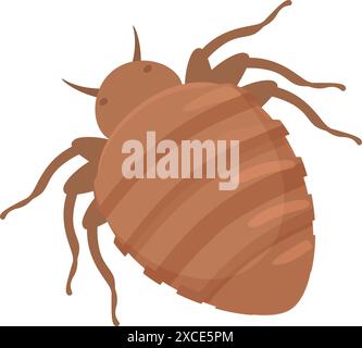 Il cimice strizza, un insetto parassita noto per la diffusione di malattie Illustrazione Vettoriale