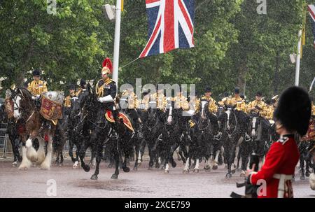 Londra, Regno Unito. 15 giugno 2024. Calvary on the Mall durante Trooping the Colour a Buckingham Palace. Fotografato da Michael tubi/ Alamy Live News. Foto Stock