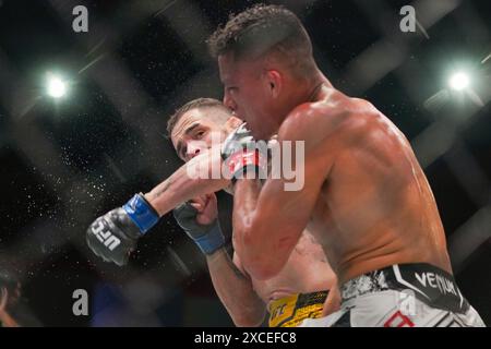 UFC Fighters che si scambiano pugni Foto Stock