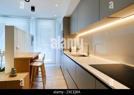 Cocina americana, cucina, interni domestici, Arredamento interno, Zumarraga, Gipuzkoa, Paesi Baschi, Spagna, Europa Foto Stock