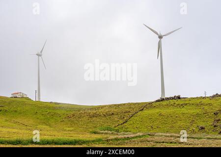 Vista panoramica delle turbine eoliche in cima in una giornata nebbiosa. Isola di São Jorge-Azzorre-Portogallo. Foto Stock