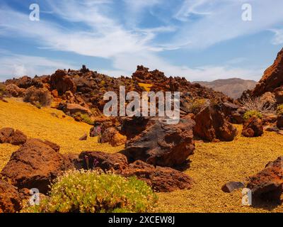 Visita Tenerife con molte rocce e uno splendido paesaggio montano sullo sfondo. Paesaggi vulcanici di Tenerife Foto Stock