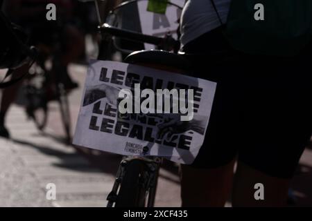 San Paolo, San Paolo, BRASILE. 16 giugno 2024. Decine di migliaia di persone hanno partecipato, questa domenica 16, alla 16a edizione della marcia della marijuana a San Paolo. L'evento su Avenida Paulista, nella regione centrale della città, si svolge in mezzo all'avanzata del cosiddetto PEC das Drogas in un altro attacco reazionario da parte del Congresso Nazionale. (Credit Image: © Dario Oliveira/ZUMA Press Wire) SOLO PER USO EDITORIALE! Non per USO commerciale! Foto Stock