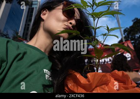 San Paolo, San Paolo, BRASILE. 16 giugno 2024. Decine di migliaia di persone hanno partecipato, questa domenica 16, alla 16a edizione della marcia della marijuana a San Paolo. L'evento su Avenida Paulista, nella regione centrale della città, si svolge in mezzo all'avanzata del cosiddetto PEC das Drogas in un altro attacco reazionario da parte del Congresso Nazionale. (Credit Image: © Dario Oliveira/ZUMA Press Wire) SOLO PER USO EDITORIALE! Non per USO commerciale! Foto Stock