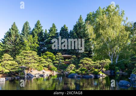 Splendido paesaggio di tarda primavera nel parco di Denver, Colorado Foto Stock