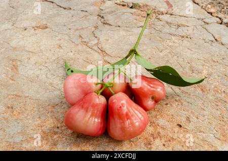 Titolo: Un mucchio di frutta campana Foto Stock