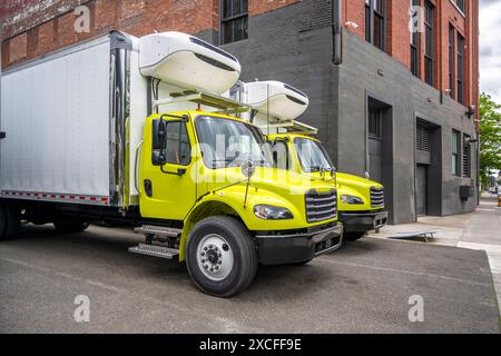 Carro industriale semi-autocarri per impieghi medi con cabina corta e rimorchi con cassone refrigerato per carichi locali in fila sulla strada urbana Foto Stock