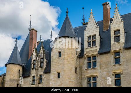 CASTELLO DI LANGEAIS (900 E RICOSTRUITO 1465) LANGEAIS FRANCIA Foto Stock