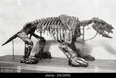 Scelidotherium leptocephalus Owen. Galleria di Paleontologia del Museo di storia naturale di Parigi, Francia. Vecchia illustrazione incisa del XIX secolo da la Nature 1886 Foto Stock