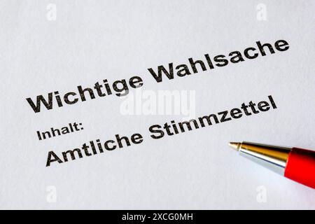 Schede elettorali ufficiali, importanti questioni elettorali, schede elettorali, questioni elettorali, penna Ballpoint Foto Stock