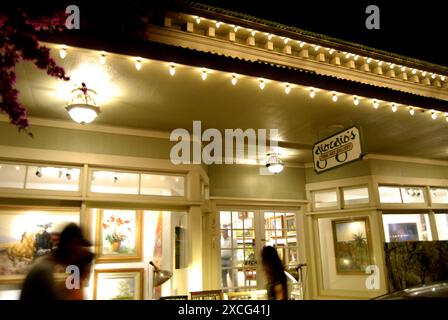 KAUAI ISLAND / HAWAII /USA   Galleria d'arte di Giorgio hanapepe a sud di Kauai 4 gennaio 2013 (foto Deanpictures) Foto Stock