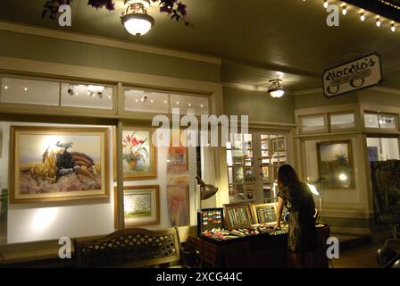 KAUAI ISLAND / HAWAII /USA   Galleria d'arte di Giorgio hanapepe a sud di Kauai 4 gennaio 2013 (foto Deanpictures) Foto Stock