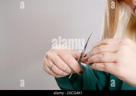 Primo piano di una donna che si taglia i capelli a casa, sfondo grigio vuoto Foto Stock