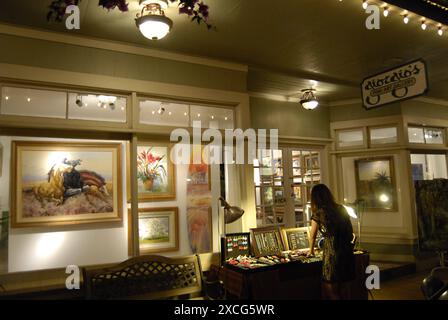 KAUAI ISLAND / HAWAII /USA   Giorgio's fine Arts Gallery hanapepe a sud di Kauai 4 gennaio 2013 Photo Deanpictures Foto Stock