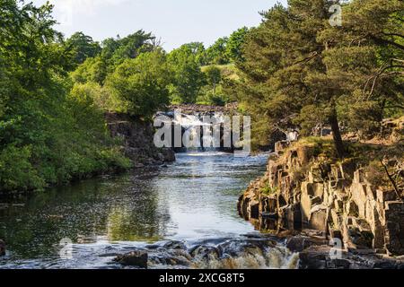 La cascata Low Force presso Bowlees, contea di Durham, Inghilterra, Regno Unito Foto Stock