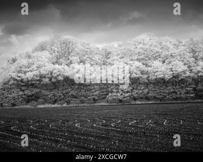 Un'immagine in bianco e nero di un campo coltivato di recente a Wrington, nel North Somerset, in Inghilterra. Foto Stock