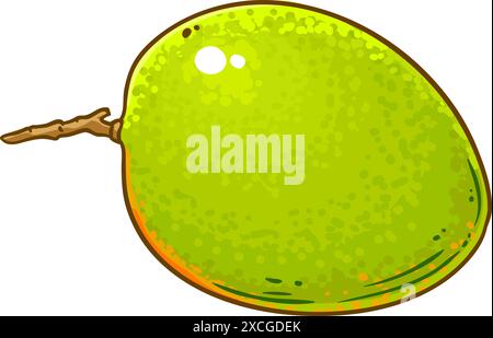 Illustrazione dettagliata colorata dei frutti di mango. Illustrazione Vettoriale