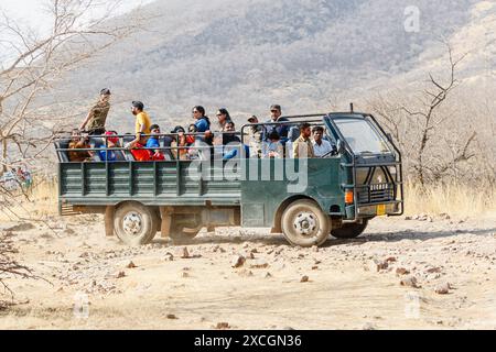 Un grande veicolo safari in cantera da 20 posti pieno di avvistatori di fauna selvatica nel arido e polveroso Parco Nazionale di Ranthambore, Rajasthan, India settentrionale Foto Stock