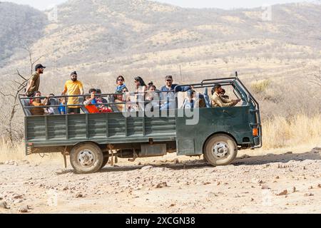 Un grande veicolo safari in cantera da 20 posti pieno di avvistatori di fauna selvatica nel arido e polveroso Parco Nazionale di Ranthambore, Rajasthan, India settentrionale Foto Stock