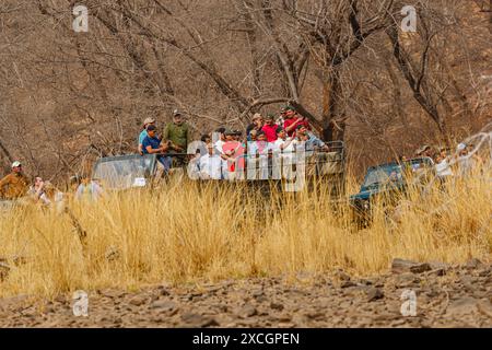 I visitatori attendono un avvistamento da un veicolo safari in canter da 20 posti pieno di avvistatori di fauna selvatica, Ranthambore National Park, Rajasthan, India settentrionale Foto Stock