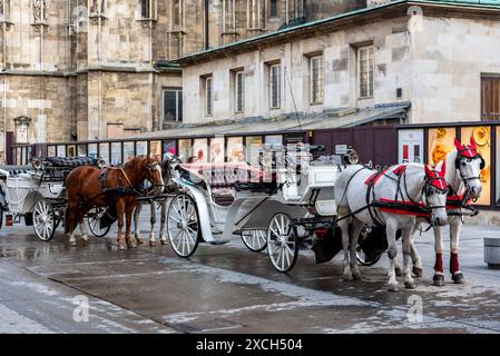 Cavalli da carro turistico White Lipizzaner, addestrati alla Scuola di equitazione spagnola di Vienna, capitale dell'Austria, il 5 maggio 2023 Foto Stock