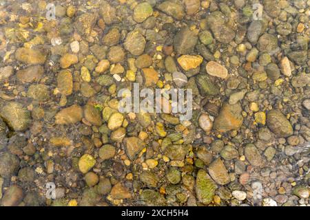 Ciottoli sul letto del fiume in una parte poco profonda di un fiume. Solo qualche piccola increspatura distorce i motivi dei ciottoli. Ottimo per background e o. Foto Stock