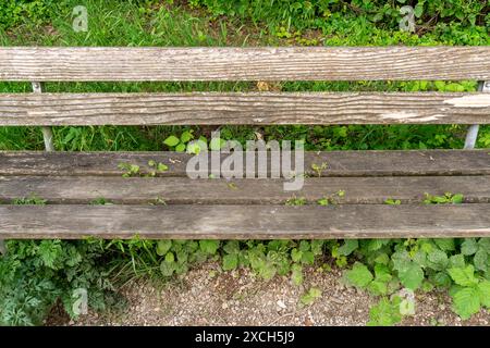 Vecchia panchina intemprata, parzialmente ricoperta, su un sentiero attraverso il bosco. vista angolare a 45 gradi. Foto Stock