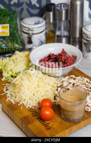 Ingredienti per cucinare tacos di padella o quesadilla a base di carne, funghi, insalata, formaggio e tomatos Foto Stock