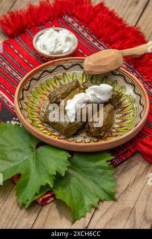 involtini di carne avvolti con foglie di vino, cucina balcanica sarma Foto Stock
