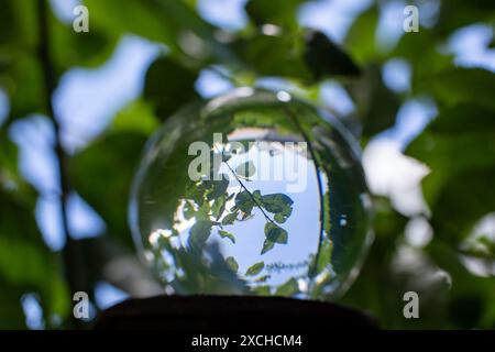 Sfera di lente in un albero, lascia riflessi con cielo blu e nuvole. Messa a fuoco morbida Foto Stock