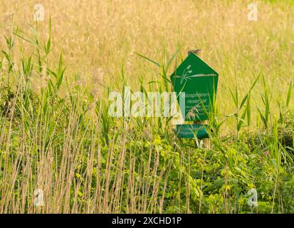 Klitten, Germania. 6 giugno 2024. 06.06.2024, litten nella regione di Lausitz. Un cartello verde con l'iscrizione "Biosphaerenreservat" (riserva della biosfera) sorge sul bordo di una riserva naturale vicino a Klitten nel paesaggio dello stagno Lusaziano. Gli stagni qui sono un paradiso per molti animali e soprattutto per gli uccelli acquatici. Credito: Wolfram Steinberg/dpa credito: Wolfram Steinberg/dpa/Alamy Live News Foto Stock