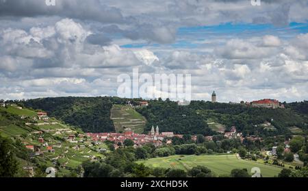 17 giugno 2024, Sassonia-Anhalt, Friburgo (Unstrut): Veduta dei vigneti sopra l'Unstrut, con il castello di Neuenburg sullo sfondo. Tre regine di vino tedesche visitano la cosiddetta Toscana del Nord per tre giorni. La regione vinicola è esplorata a piedi, in bicicletta e in una gita in barca sul Geiseltalsee. Foto: Jan Woitas/dpa Foto Stock